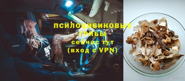 ECSTASY Алексин